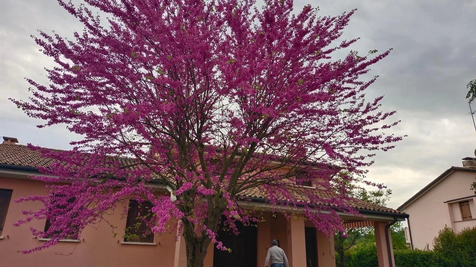 La Taverna Di Anna San Pietro di Feletto アパート